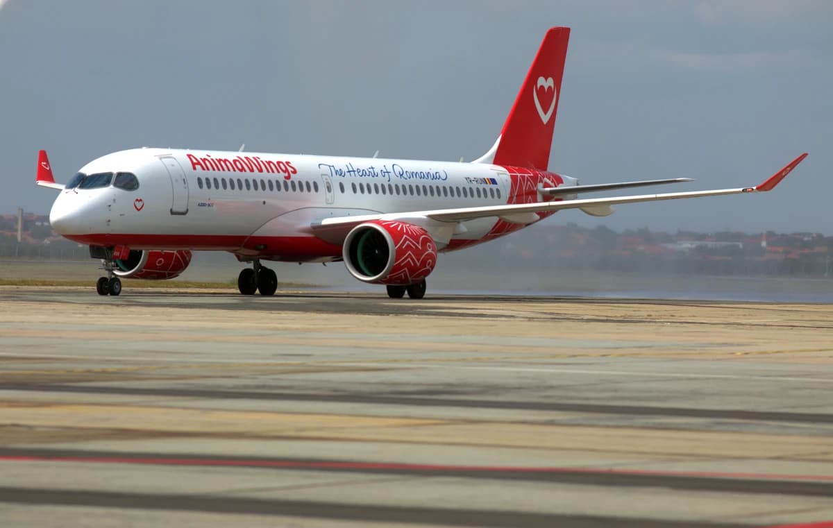 Timisoara Lansare Zboruri Aeroport — fotografie de presă, Timișoara