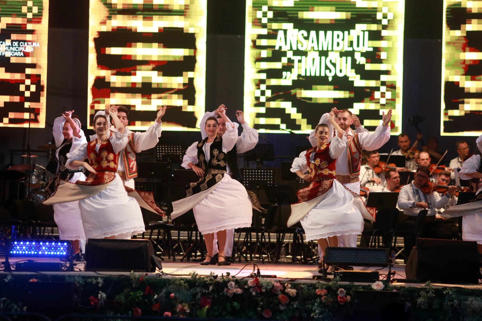 Ansamblul Timisul — eveniment cultural, Timișoara