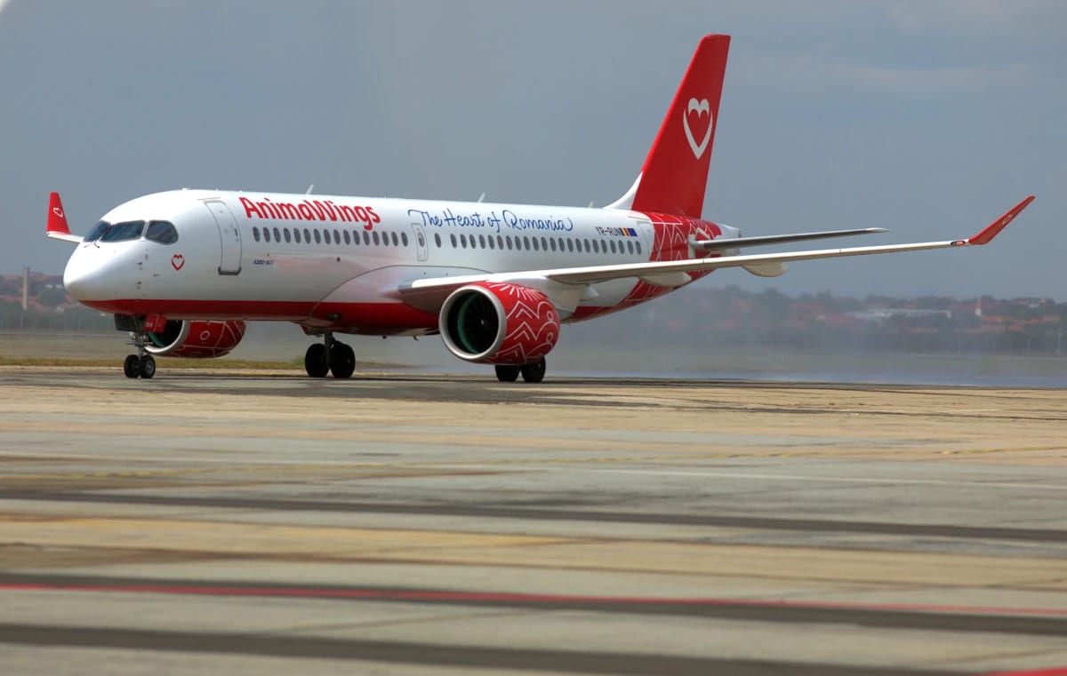 Timisoara Lansare Zboruri Aeroport — fotografie de presă, Timișoara