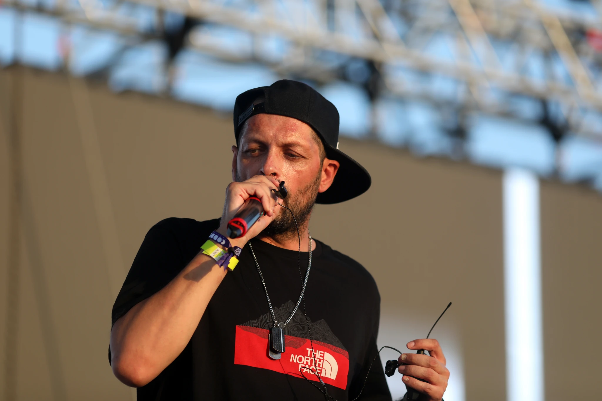 Concert Parazitii
